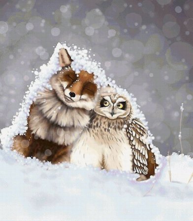 Лисы и Совы