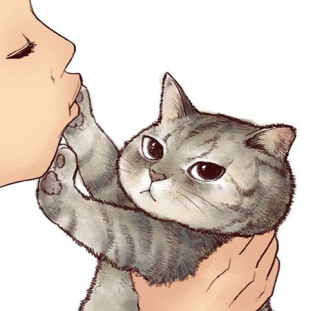 Котик рисунок