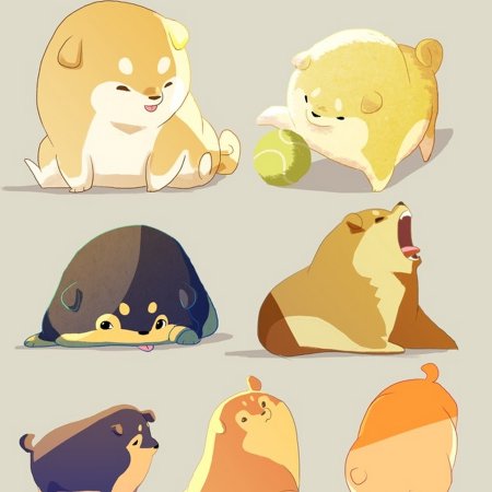 Референсы милых животных