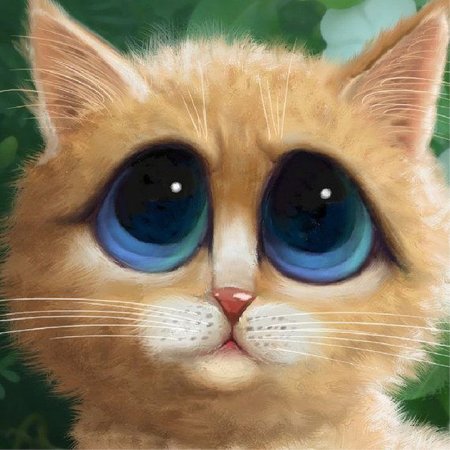 Котик с большими глазами