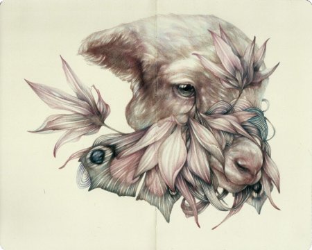 Странные рисунки цветными карандашами