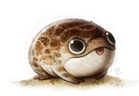 Милые лягушки