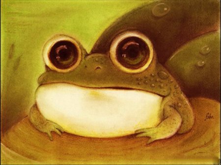 Милые лягушки рисунок
