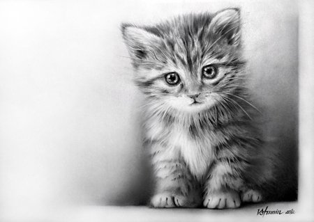 Лайн коты Воители Чиби