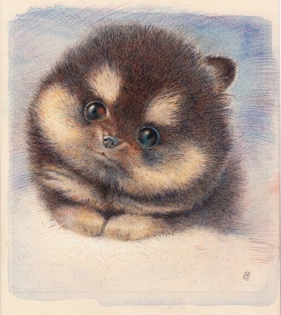 Милые животные пастель