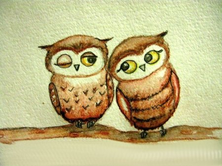 Милые Совушки для срисовки