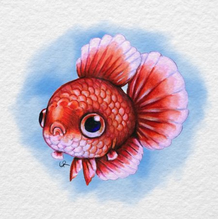 Рыбы цветными карандашами