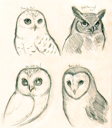 Кот для срисовки карандашом легко