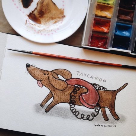 Акварельные рисунки Тани Самошкиной животные