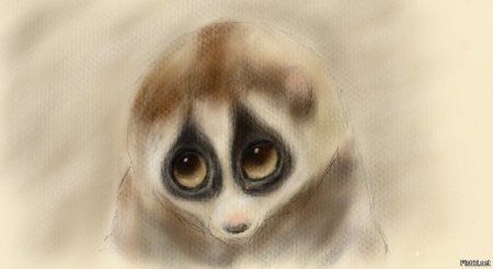 Милые рисунки карандашом