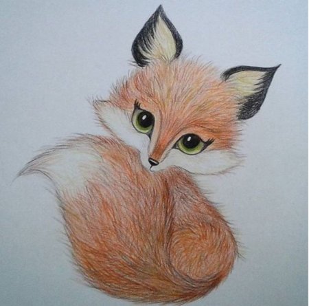 Поэтапный рисунок хомяка