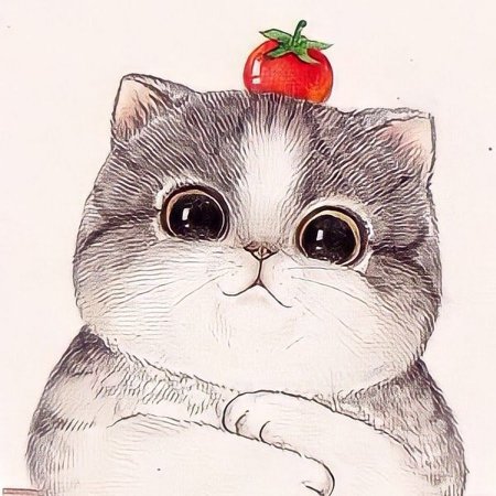 Котики для срисовывания