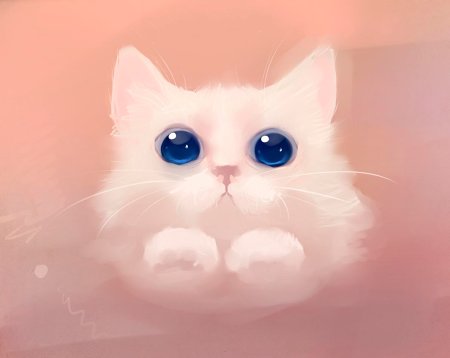 Няшный котик