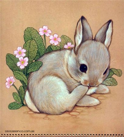 Милые иллюстрации животных