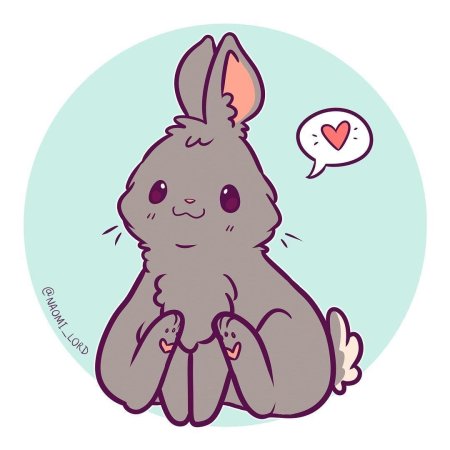 Наоми Лорд кролики