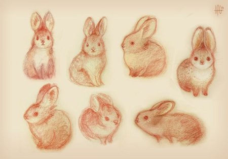 Кролик рисунок