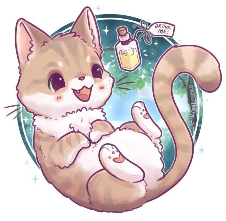 Котики для срисовывания