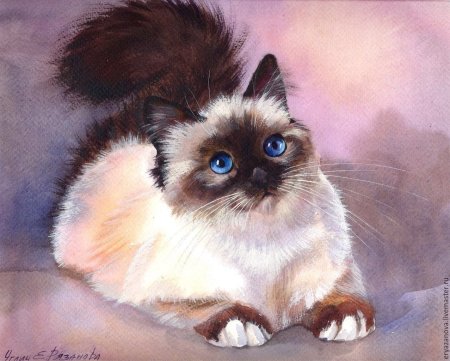 Картина Екатерины Рязановой кошка