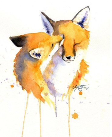 Милые иллюстрации лисы