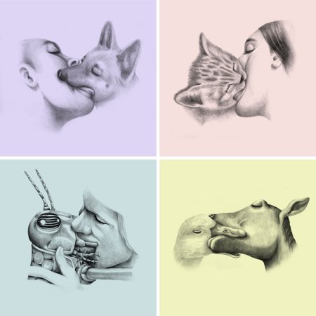 Котики обнимаются