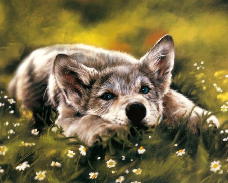 Lesley Harrison художник