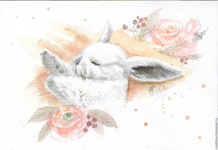 Акварельные зверюшки