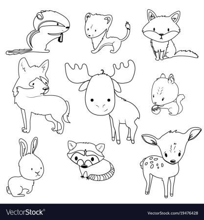 Контур рисунка лесного зверя