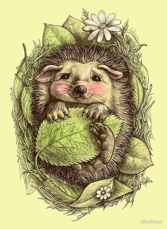 Татуировки собак эскизы