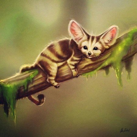 Фенек фэнтези