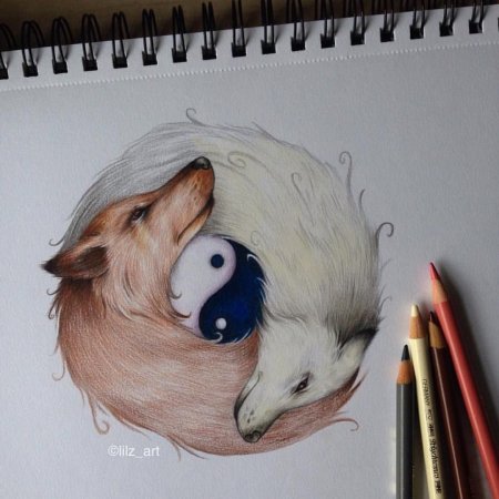 Идеи для рисования животных