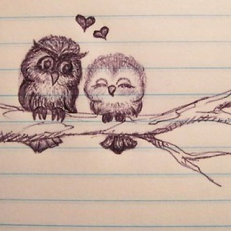 Милые Совушки карандашом