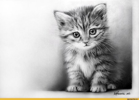 Рисунки котенки