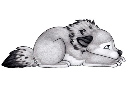 Наоми Лорд фенек