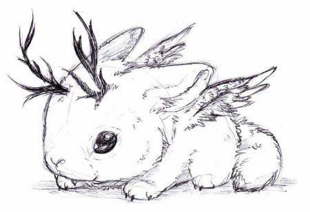 Раскраски аниме животные