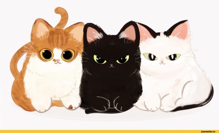Милые котики для срисовки