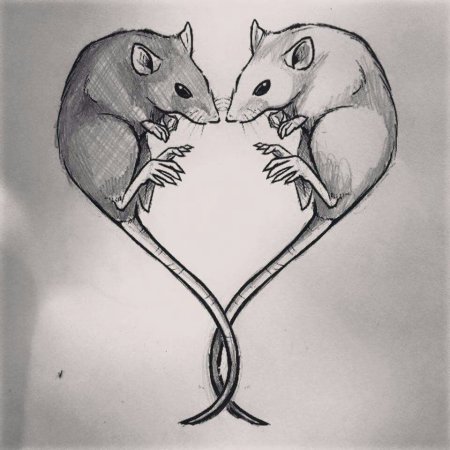 Милая собака рисунок
