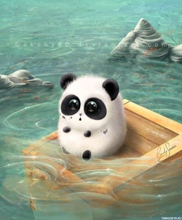 Панда плавает