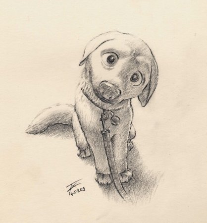 Милые собачки карандашом