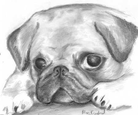 Рисунок собаки для срисовки