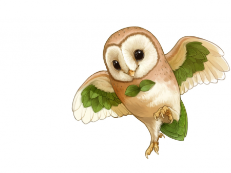 Совушка на белом фоне