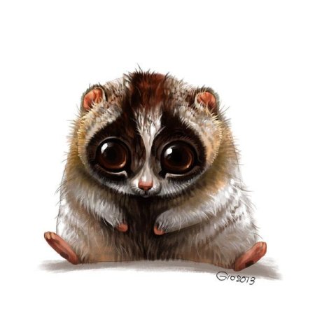 Лемур Лори нарисовать