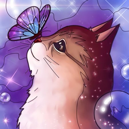 Кот с бабочкой на носу