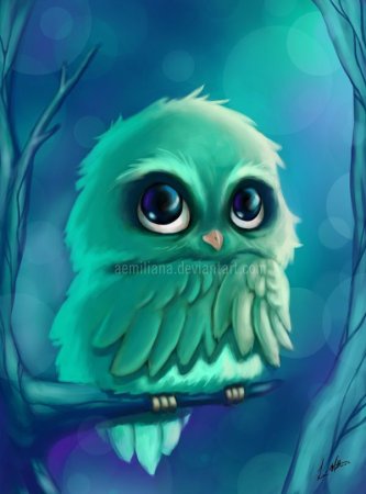 Няшная Сова