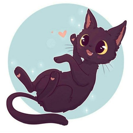 Котики аниме Наоми Лорд