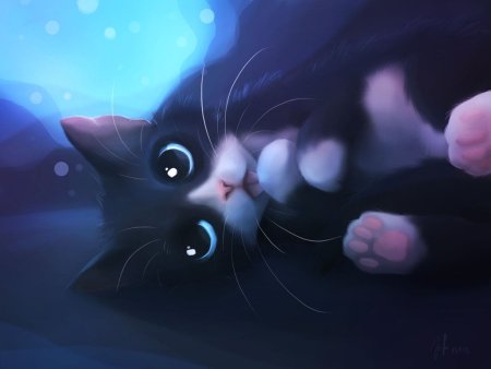 Котики арт