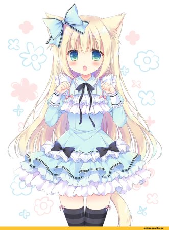 Милые аниме неко