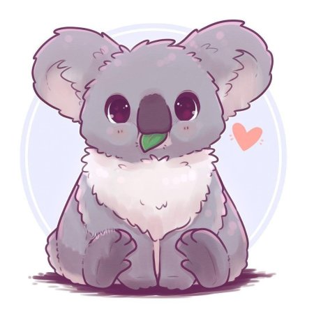 Наоми Лорд коала