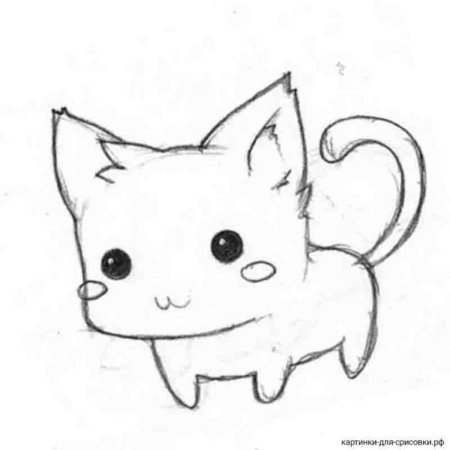 Лёгкий рисунок котёнка для срисовки