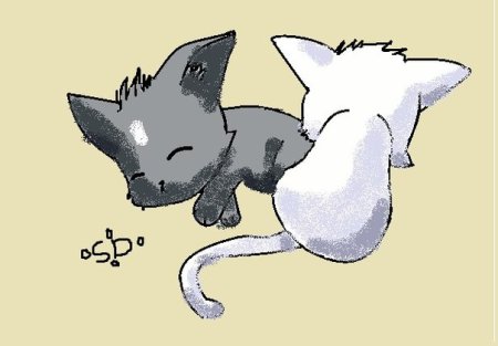Рисунки для срисовки котики аниме