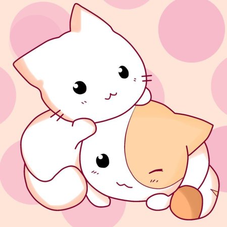 Кавайные котики